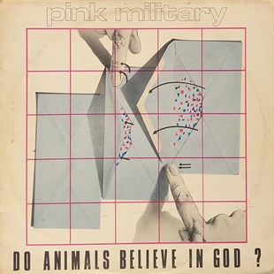 PINK MILITARY – DO ANIMALS BELIEVE IN GOD?